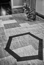 idealny dywan do przedszkola